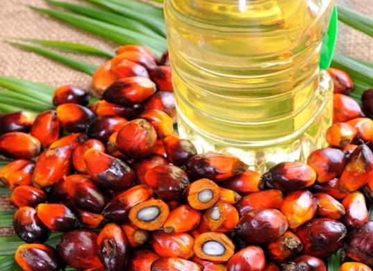 Palm Fruit and Refined Oil