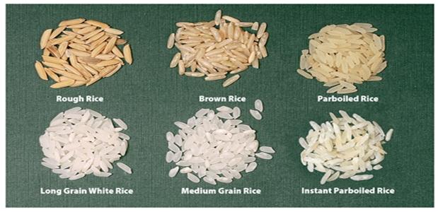 Rice Products