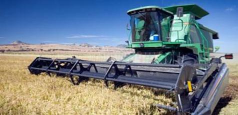 Rice Harvesting