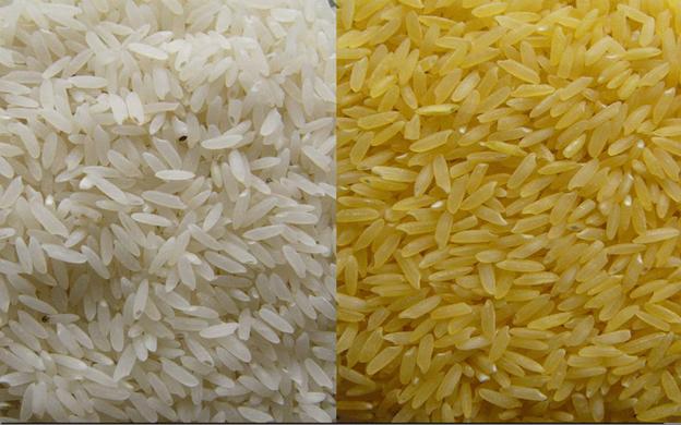 White and Parboiled Rice