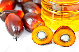 Palm Fruit and Refined Oil